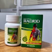 Hadjod Capsules